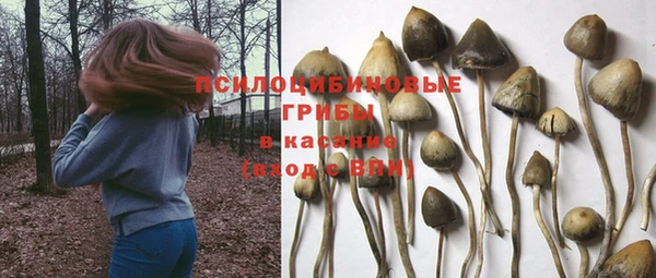 соль курить ск Арсеньев